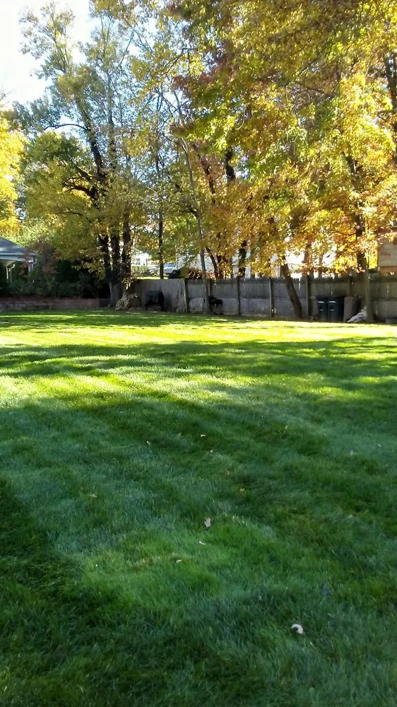 Custom yard cleanup service for outdoor upgrades across Belleville, NJ - Redbud Landscaping