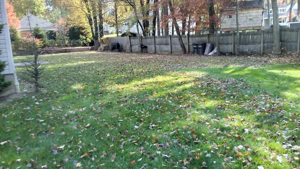 Reliable yard maintenance for homes in Belleville, NJ by Redbud Landscaping