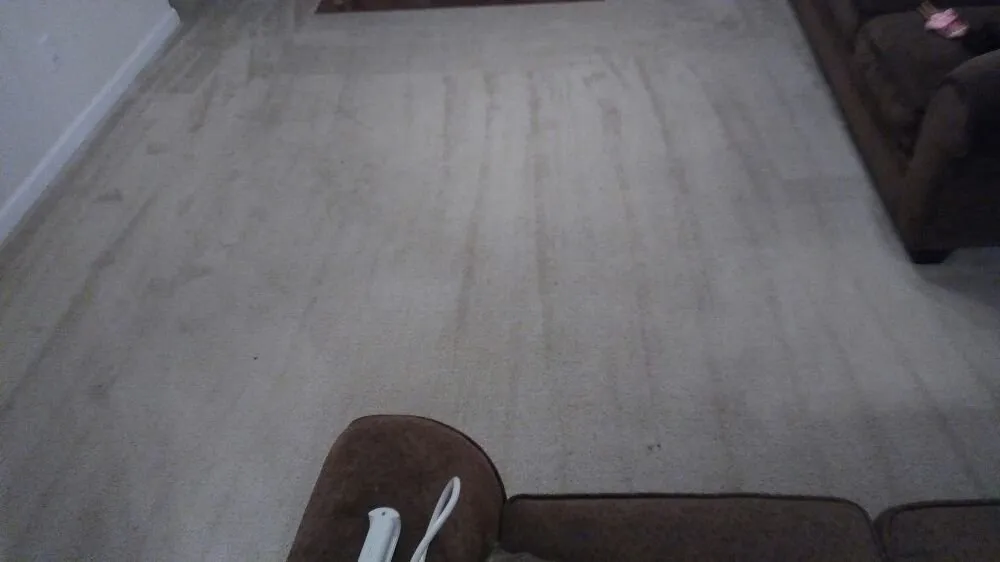 Trusted landscape installation for outdoor upgrades across Cayce, SC - Redd Cleaning Solutions