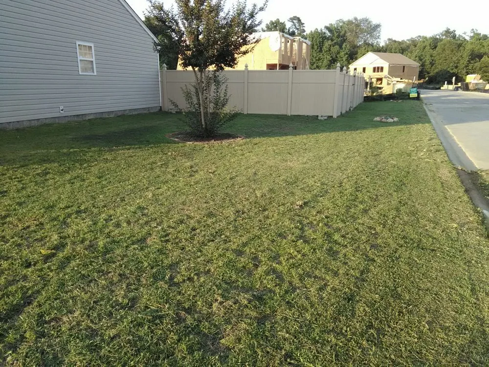 Professional yard cleanup service for residential properties across Cayce, SC - Redd Cleaning Solutions