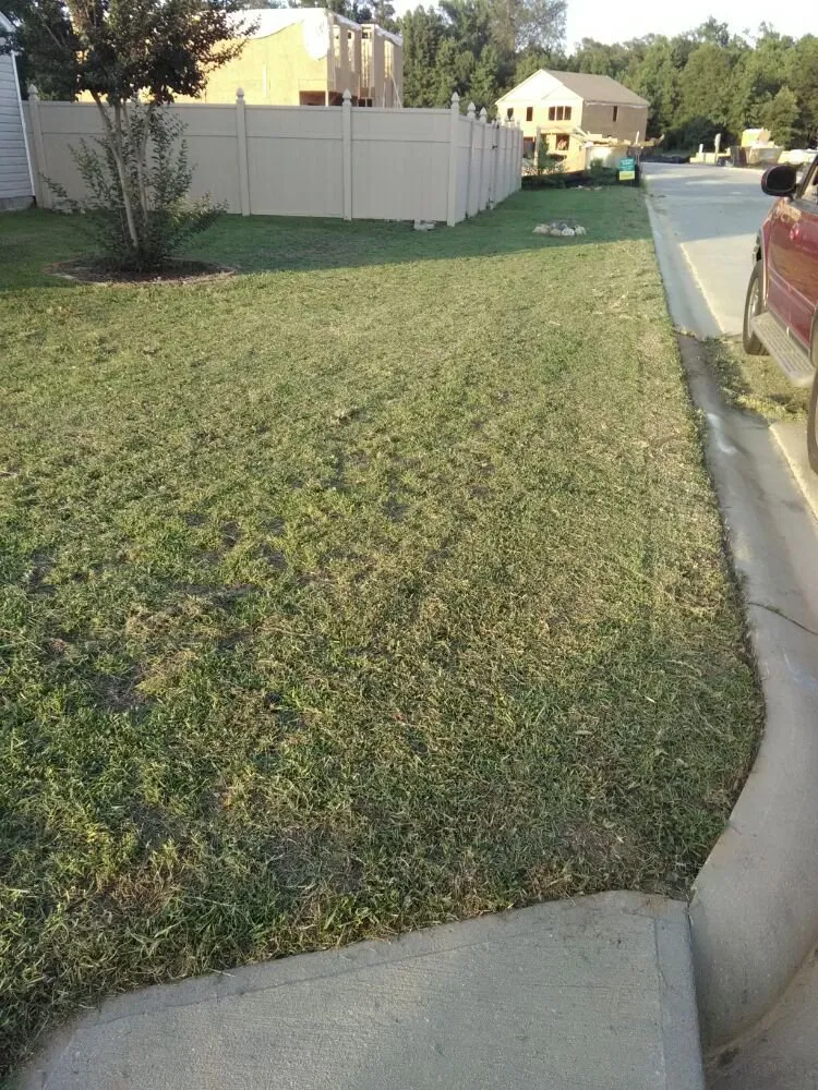 Custom lawn mowing service in Cayce, SC by Redd Cleaning Solutions