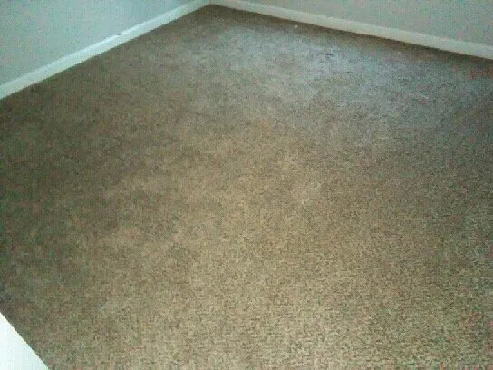 Expert lawn care service in Cayce, SC by Redd Cleaning Solutions