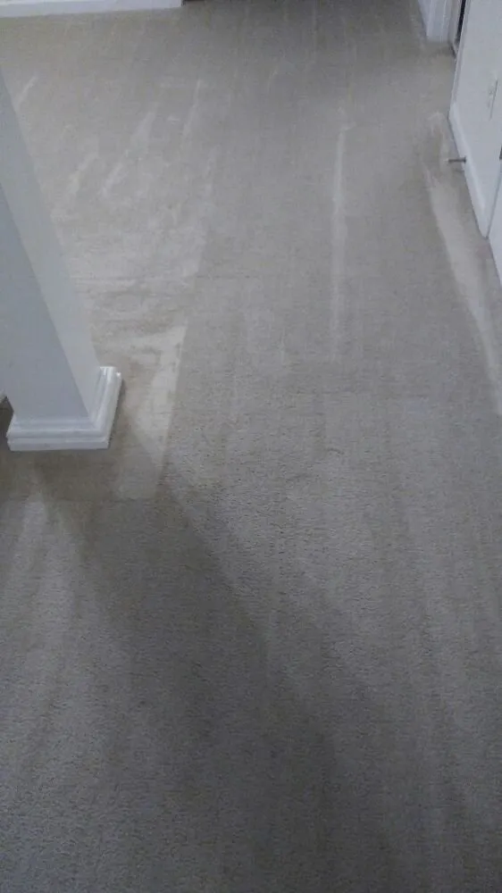 Top-rated outdoor landscaping for year-round maintenance across Cayce, SC - Redd Cleaning Solutions