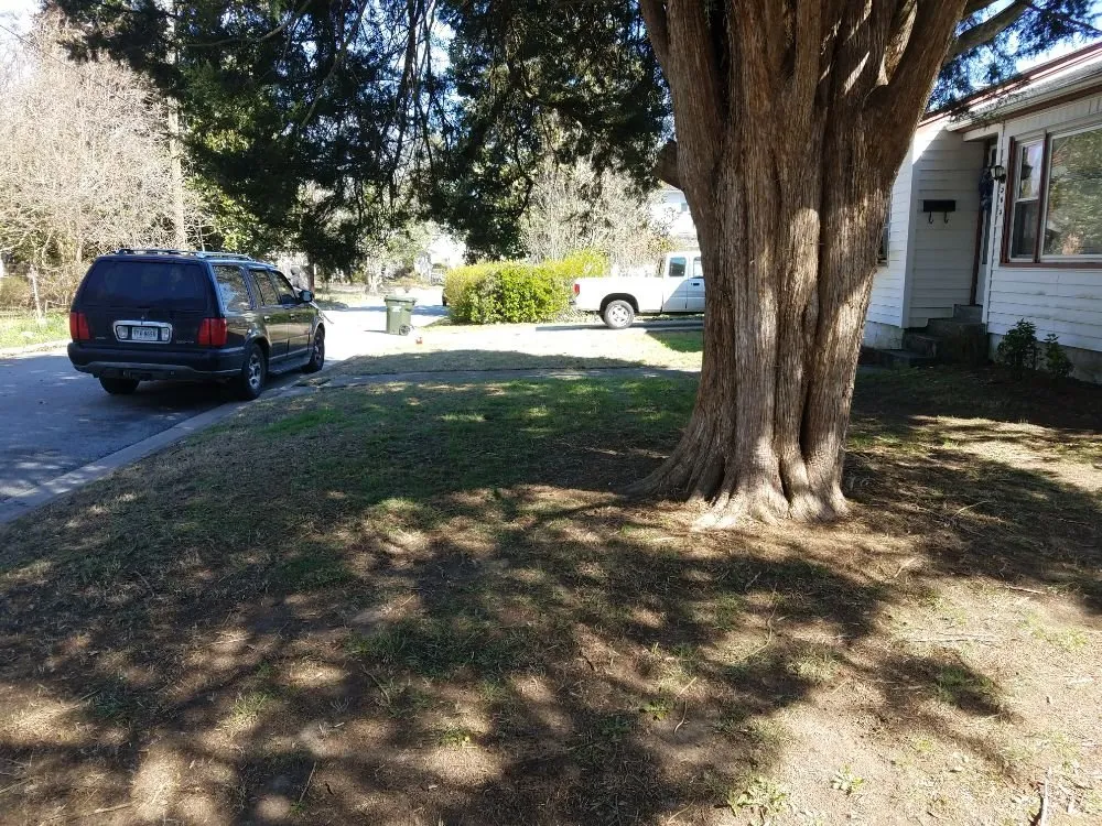 Custom yard maintenance with custom design in Franklin, VA by Reddick & Sons Lawn Care Services