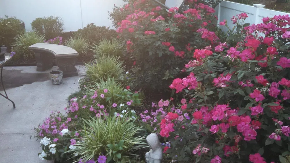 Custom yard maintenance in Franklin, VA - Reddick & Sons Lawn Care Services