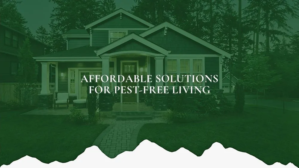 Custom landscape design experts serving Anderson, CA - Redding Spray Service