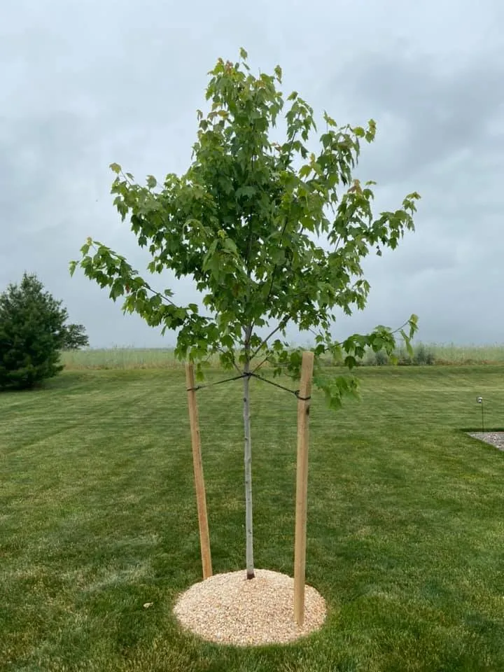 Professional landscape installation experts serving Gettysburg, PA - Redding's Horticultural Services