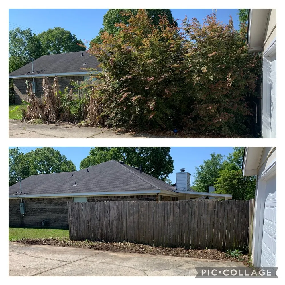 Custom yard cleanup service in Theodore, AL by Redding’s Outdoor Services