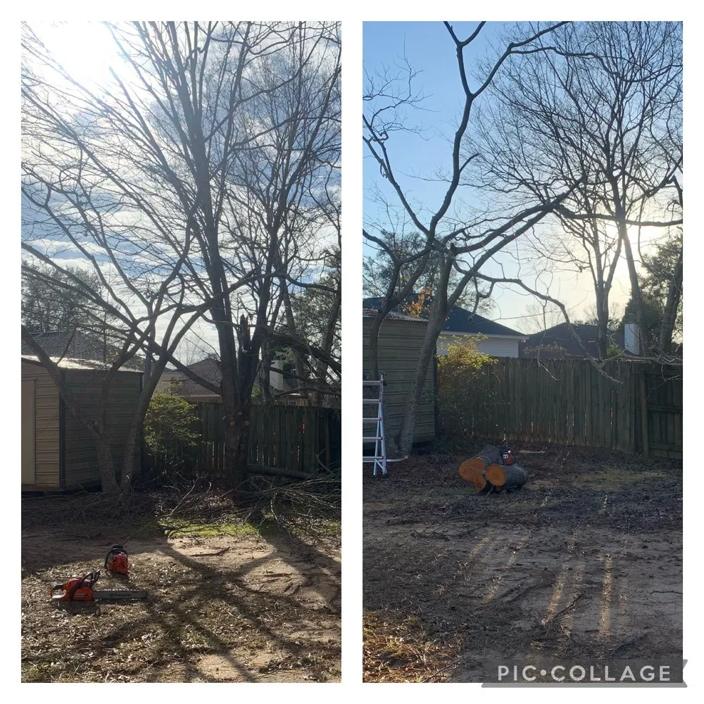 Trusted yard maintenance in Theodore, AL - Redding’s Outdoor Services