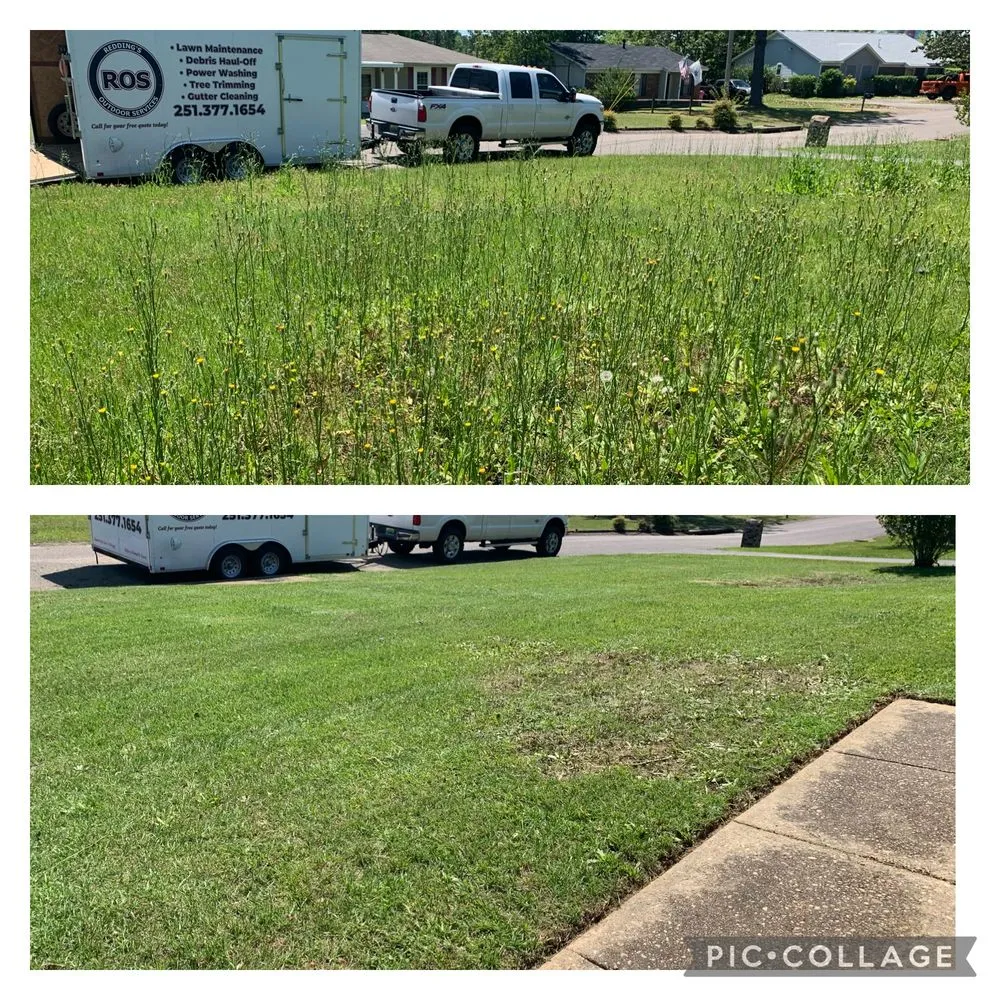 Expert lawn care service in Theodore, AL - Redding’s Outdoor Services