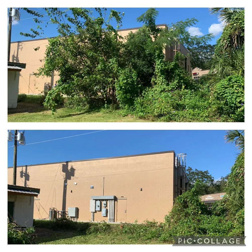 Professional landscaping services with custom design in Theodore, AL by Redding’s Outdoor Services