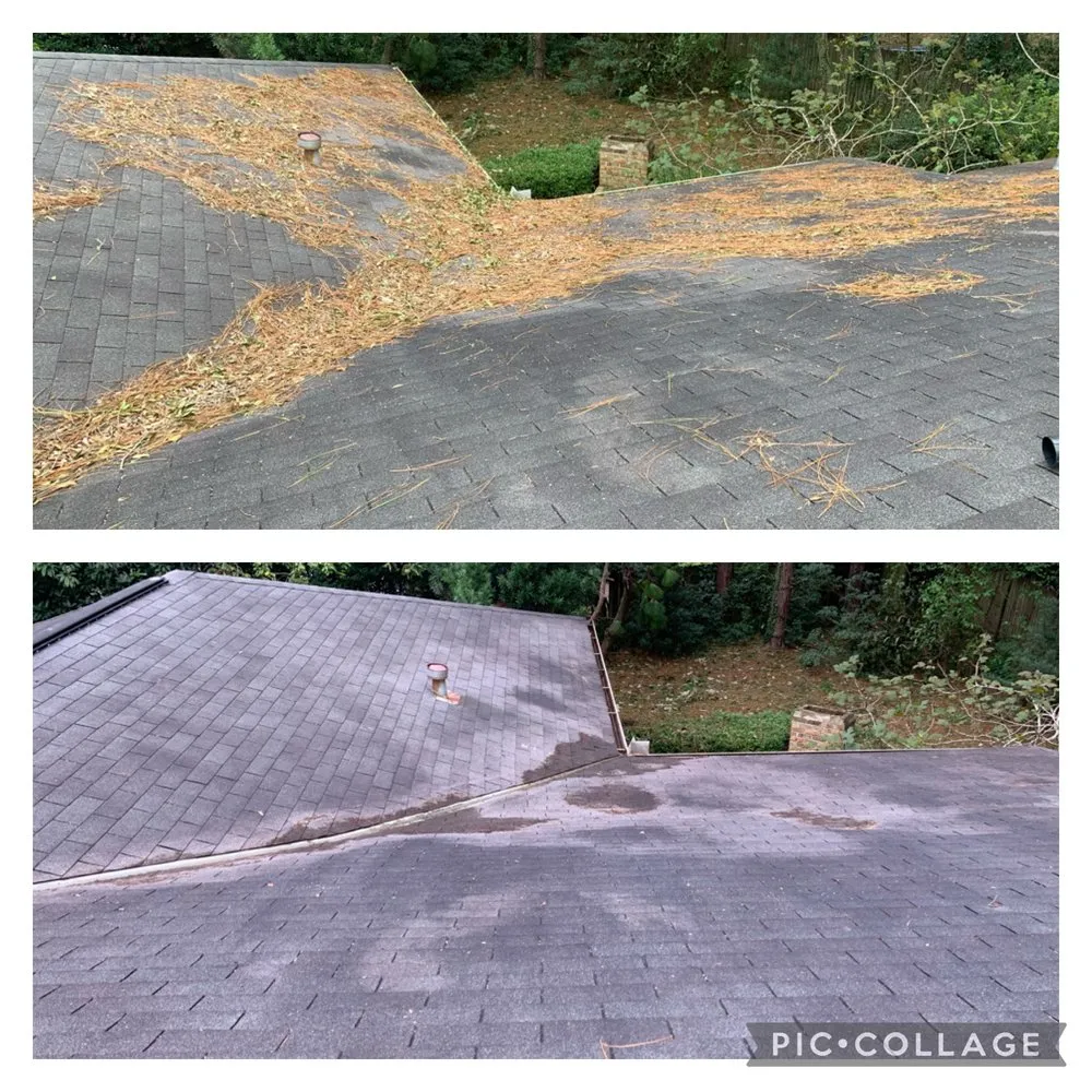 Expert garden landscaping in Theodore, AL by Redding’s Outdoor Services