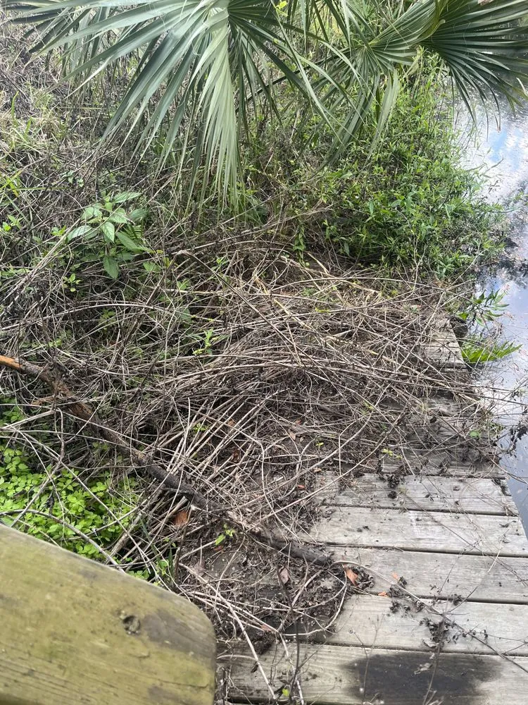 Local landscape design near you in Homosassa, FL by Redd’s Handyman Services