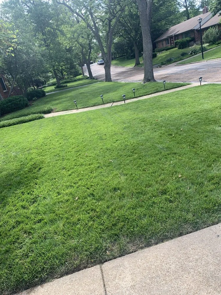 Top-rated landscape installation in University City, MO - Redd's Landscaping