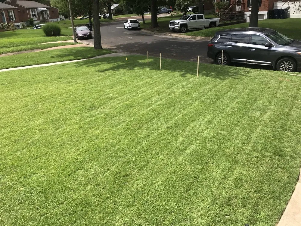 Reliable yard cleanup service in University City, MO by Redd's Landscaping