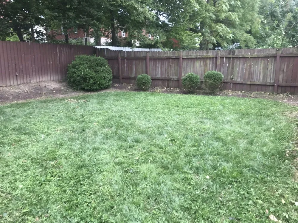 Trusted outdoor landscaping in University City, MO - Redd's Landscaping