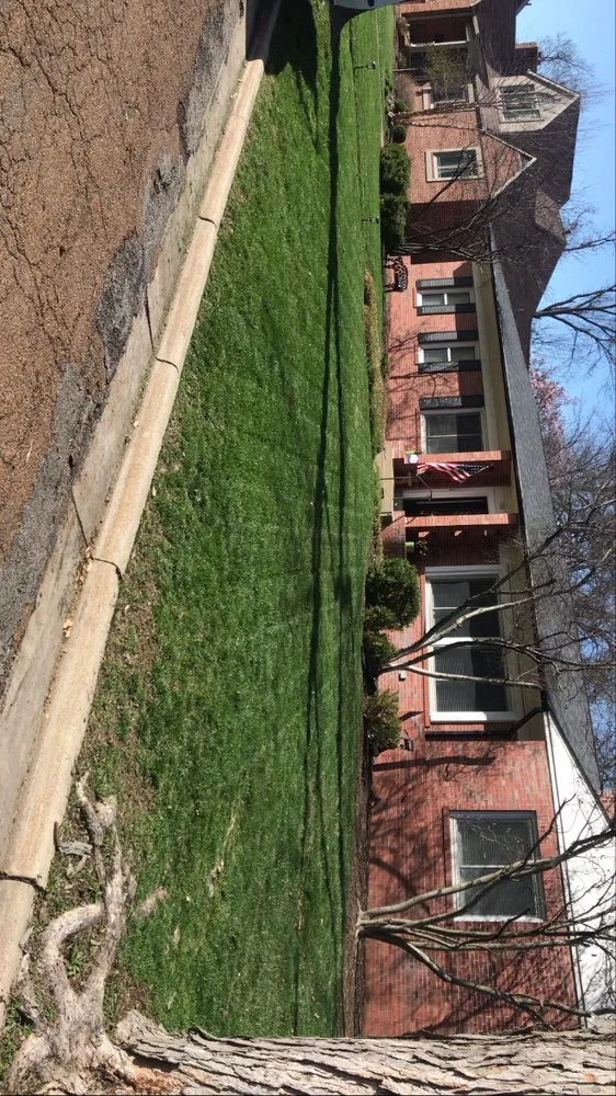 Custom lawn mowing service with custom design in University City, MO by Redd's Landscaping