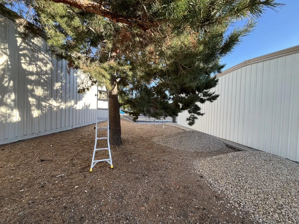 Professional lawn care service in Hays, KS by Redeemed Exterior Services