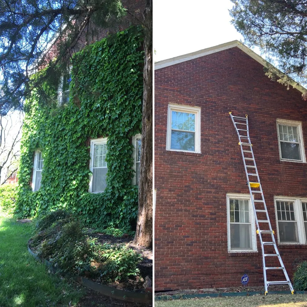 Reliable lawn care service in Oklahoma City, OK - Redeemed Handyman & Lawn Care