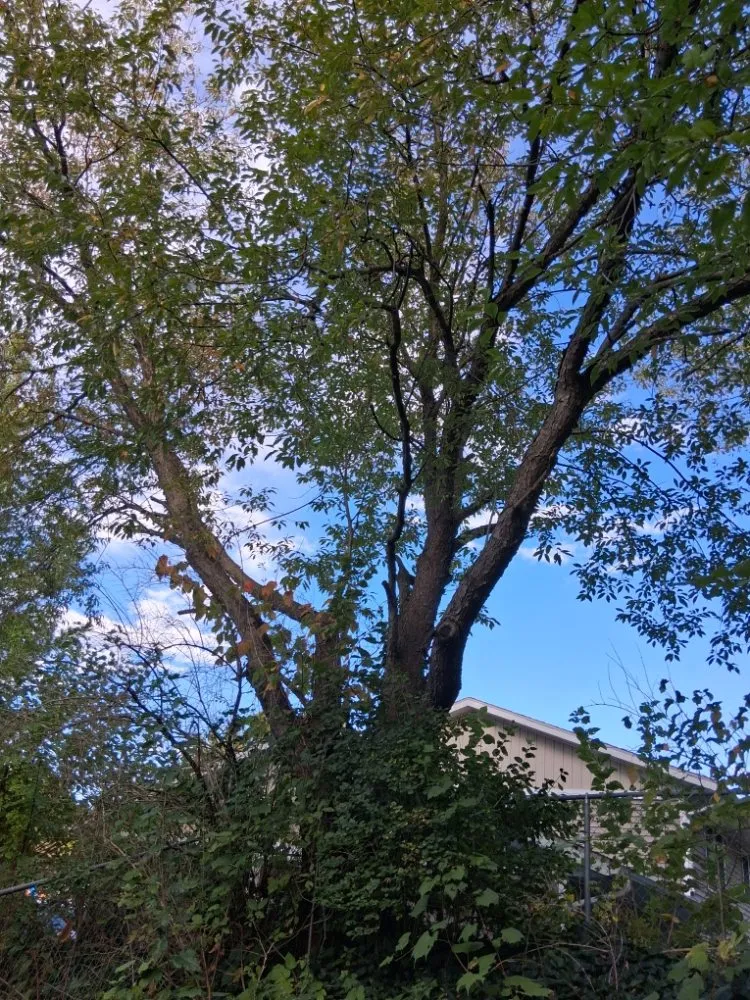 Top-rated garden landscaping for residential properties across Grand Rapids, MI - Redeemed Landscaping