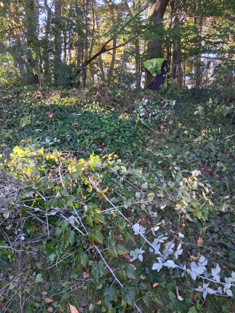 Trusted lawn care service for residential properties in Grand Rapids, MI by Redeemed Landscaping