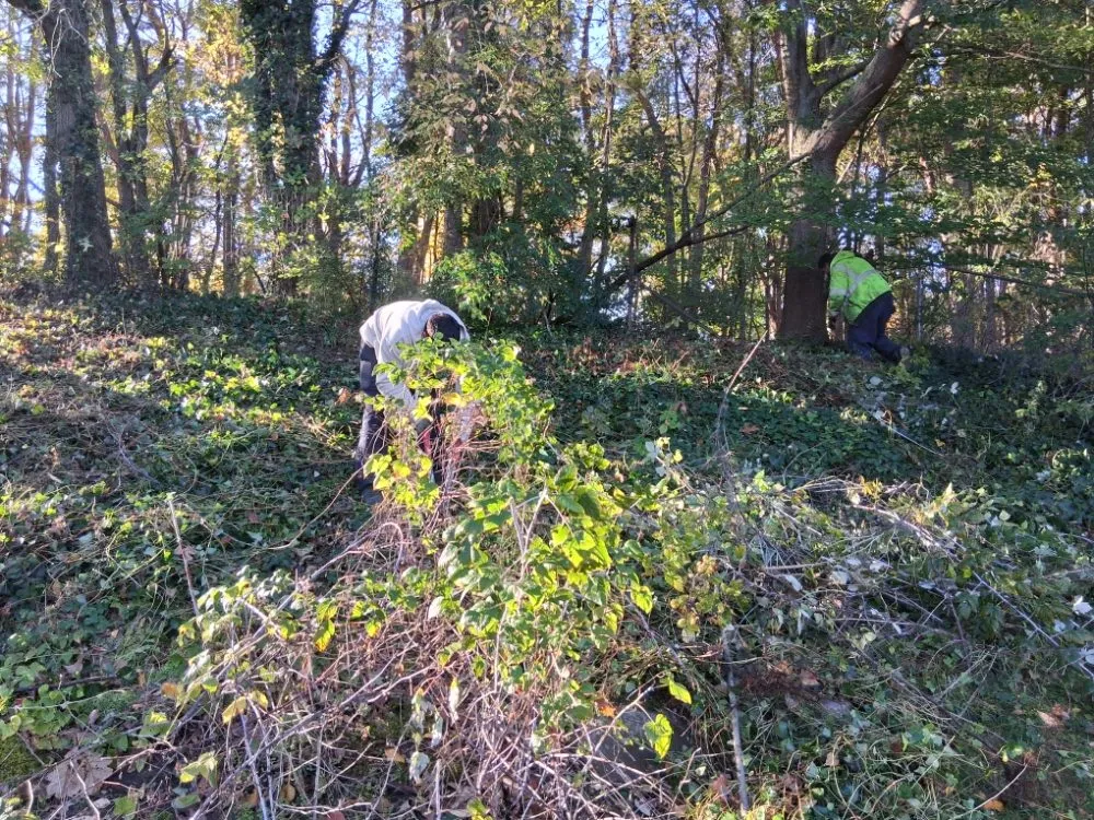 Top-rated yard cleanup service for beautiful yards across Grand Rapids, MI - Redeemed Landscaping