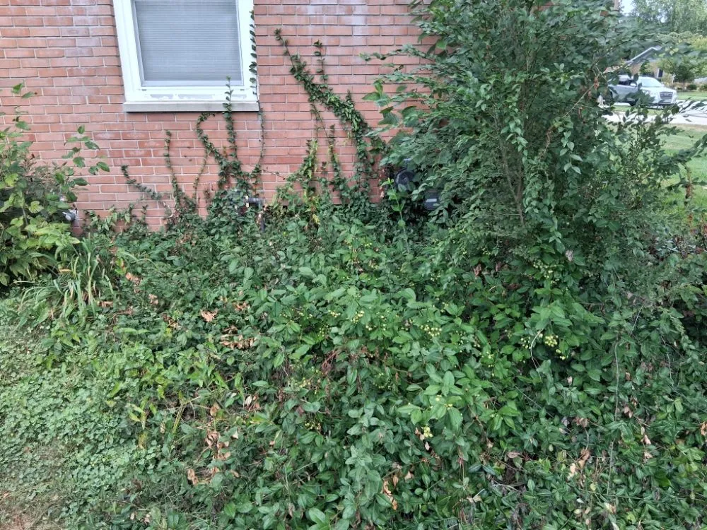 Affordable lawn care service in Grand Rapids, MI - Redeemed Landscaping