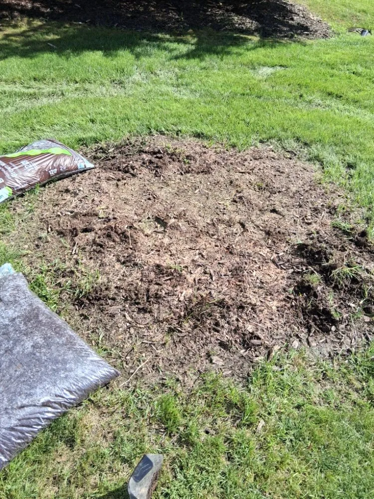 Reliable yard cleanup service for year-round maintenance in Grand Rapids, MI by Redeemed Landscaping