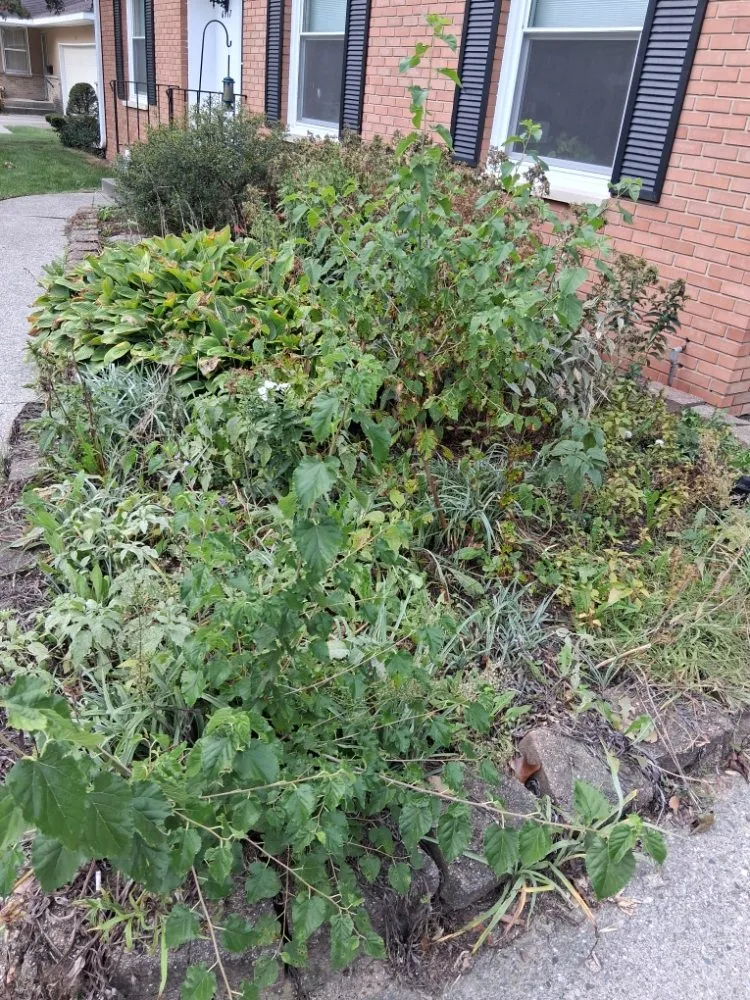 Reliable landscape installation in Grand Rapids, MI by Redeemed Landscaping