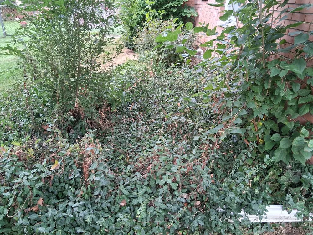 Top-rated outdoor landscaping in Grand Rapids, MI - Redeemed Landscaping