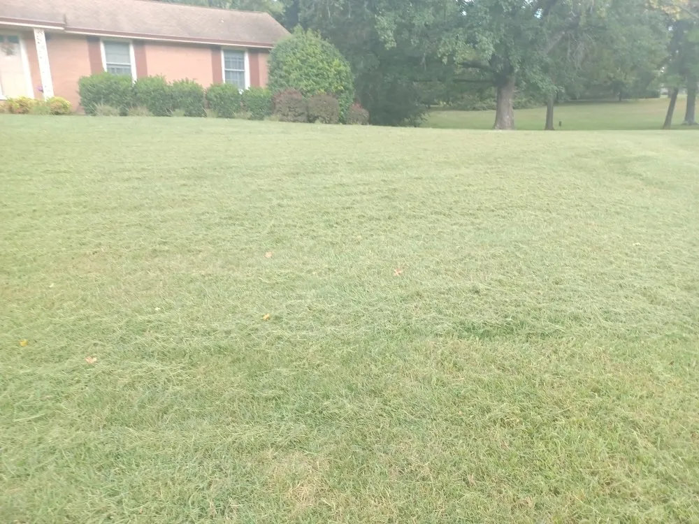 Top-rated landscape installation for outdoor upgrades in Roanoke, VA by Redeemed Lawn Care