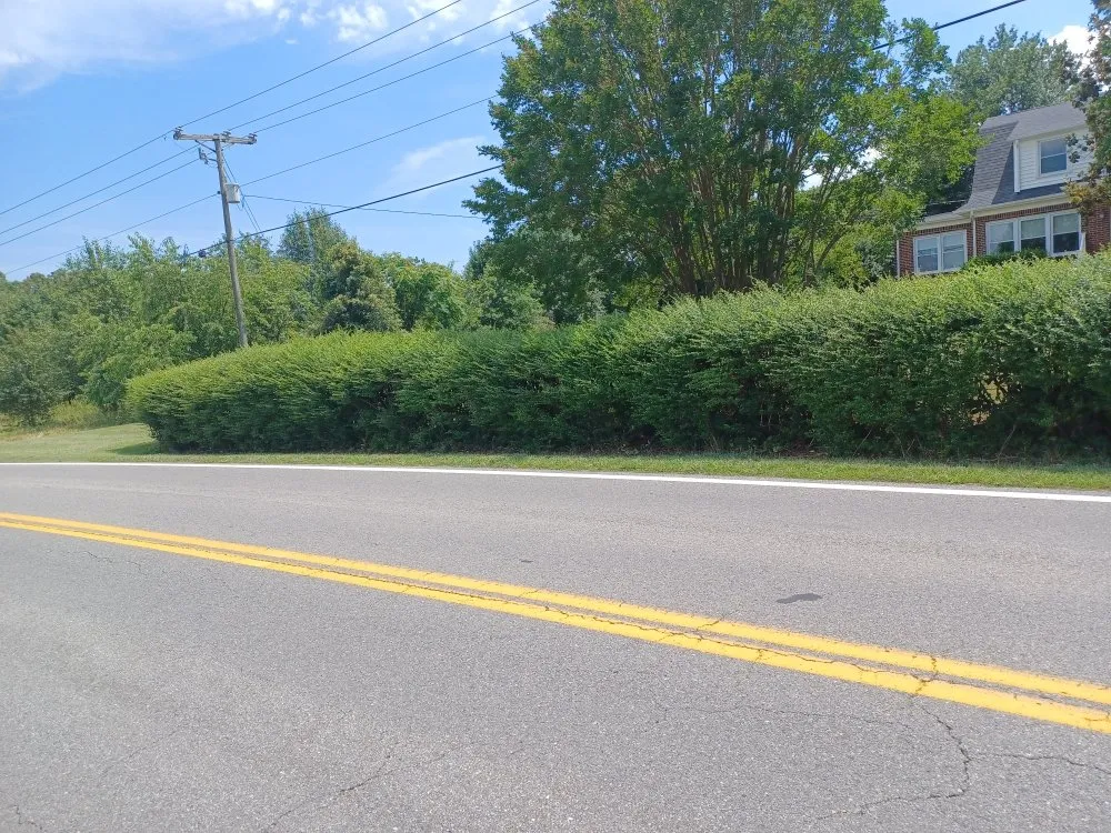 Professional yard cleanup service experts serving Roanoke, VA - Redeemed Lawn Care