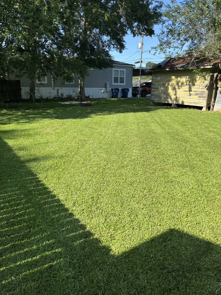 Reliable yard maintenance for year-round maintenance in Crowley, LA by Redeemed Lawncare