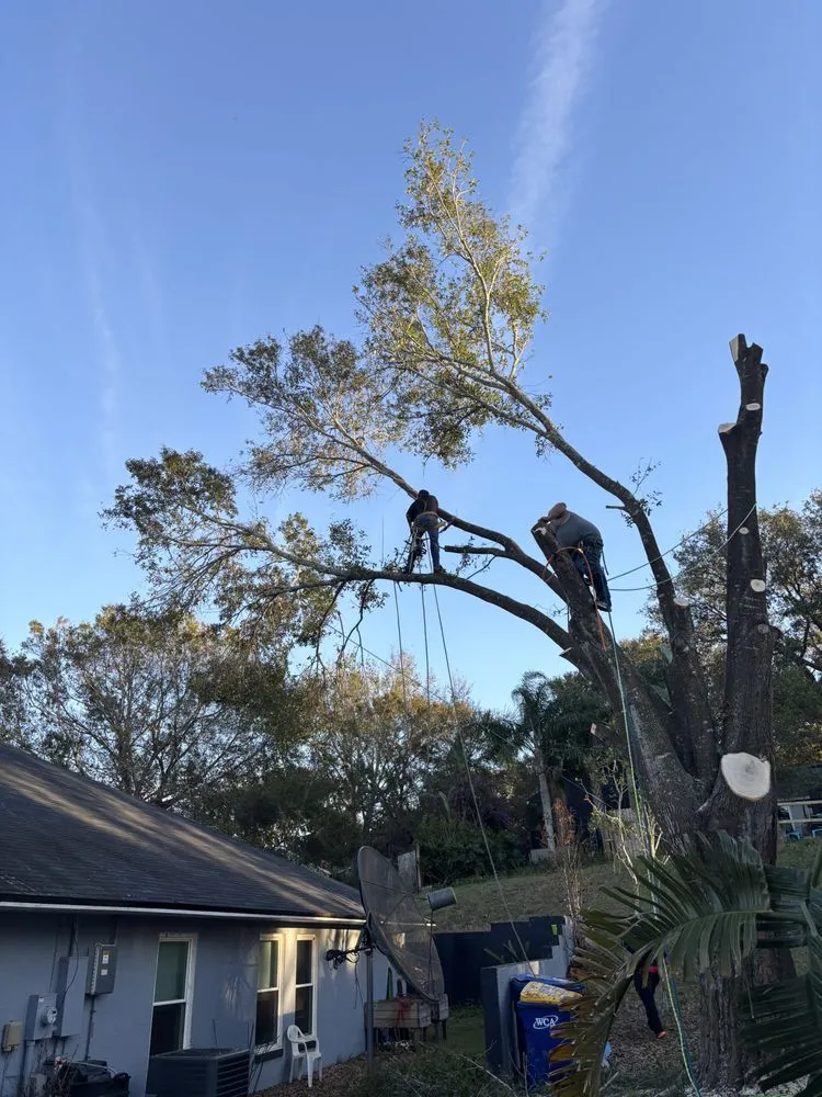 Trusted residential landscaping in Fruitland Park, FL - Redeemed Roots