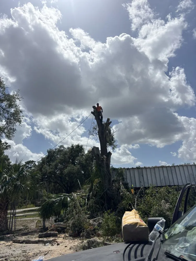 Reliable outdoor landscaping near you in Fruitland Park, FL by Redeemed Roots