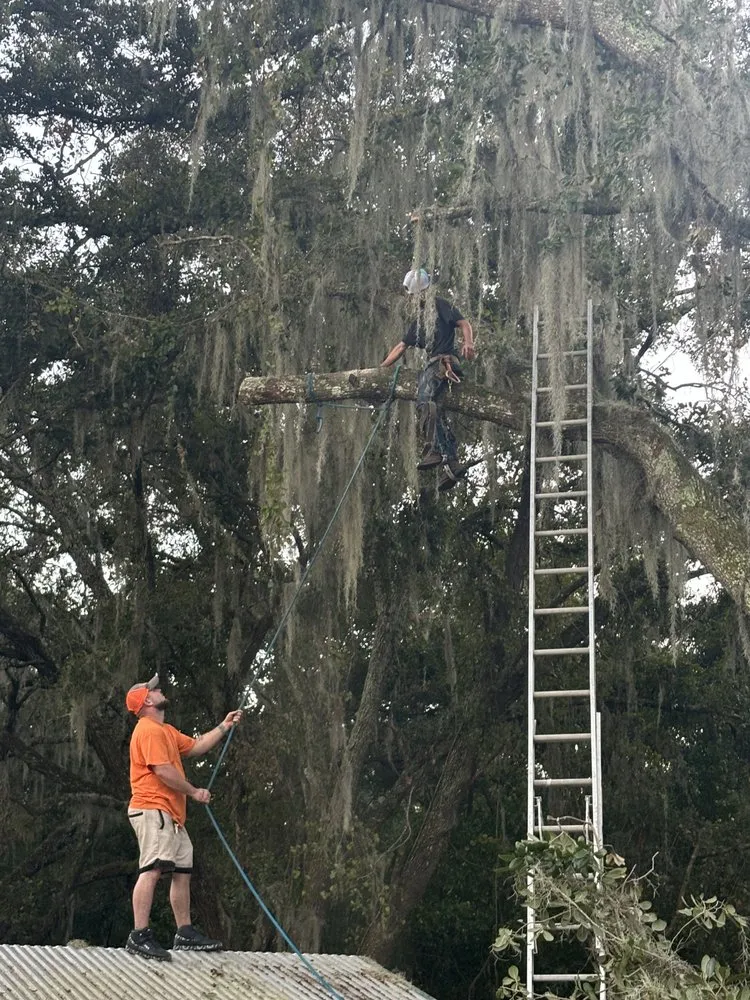 Local landscape installation experts serving Fruitland Park, FL - Redeemed Roots