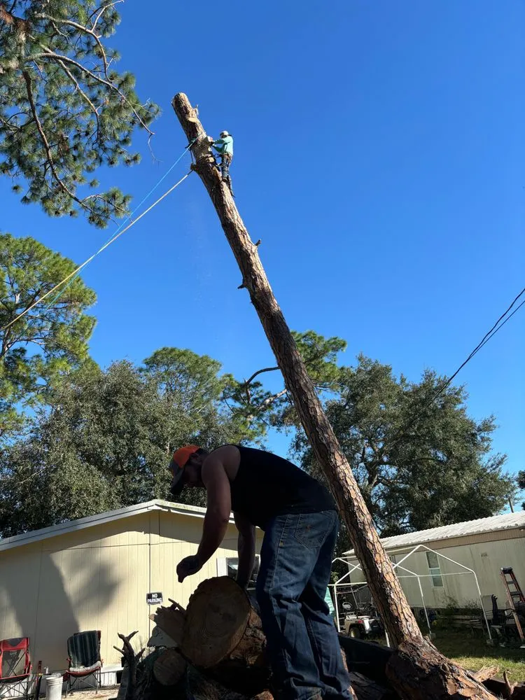 Professional landscape design in Fruitland Park, FL - Redeemed Roots
