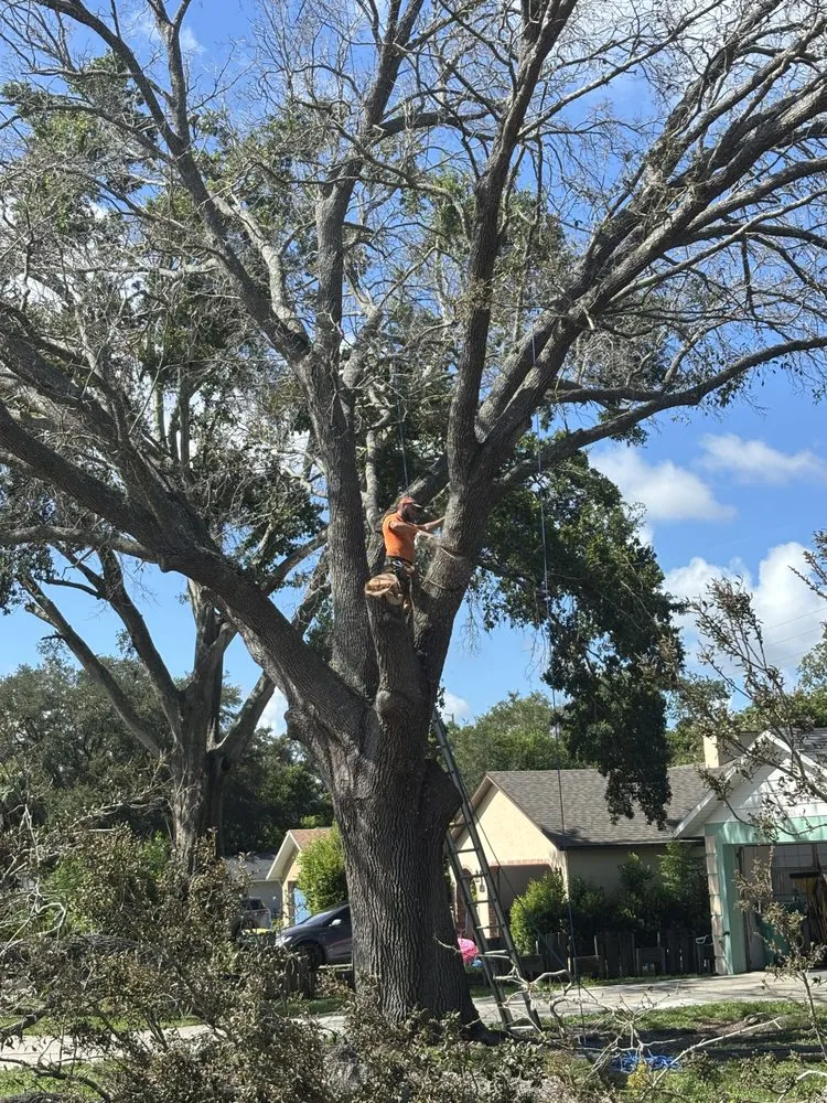 Affordable lawn mowing service for homes in Fruitland Park, FL by Redeemed Roots