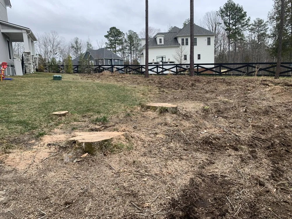 Affordable residential landscaping for year-round maintenance across Richmond, VA - Redeemed Tree Service