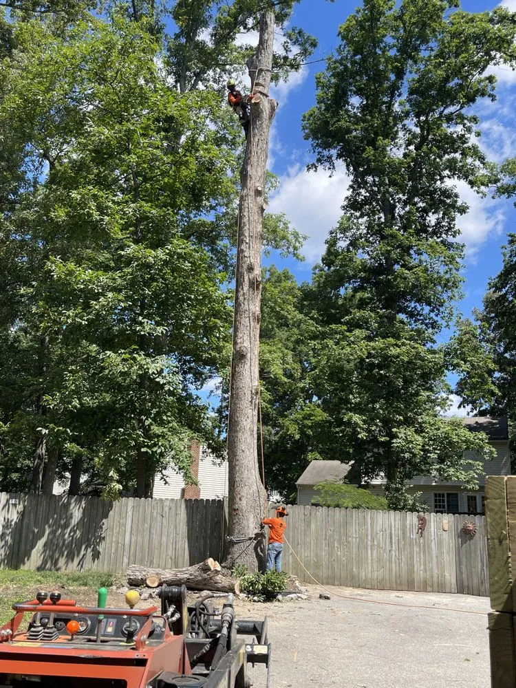 Expert lawn care service for beautiful yards across Richmond, VA - Redeemed Tree Service
