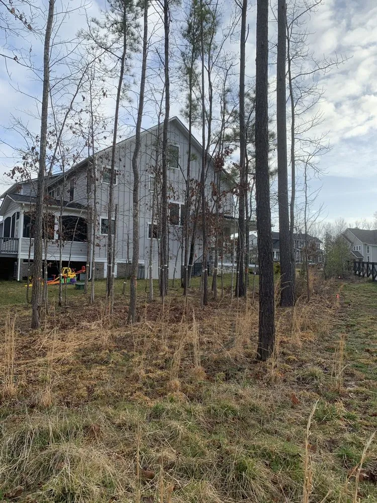 Expert yard maintenance for outdoor upgrades across Richmond, VA - Redeemed Tree Service