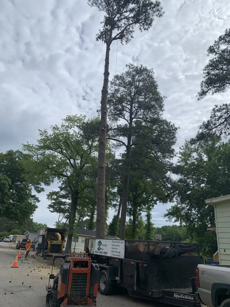 Trusted outdoor landscaping for beautiful yards across Richmond, VA - Redeemed Tree Service