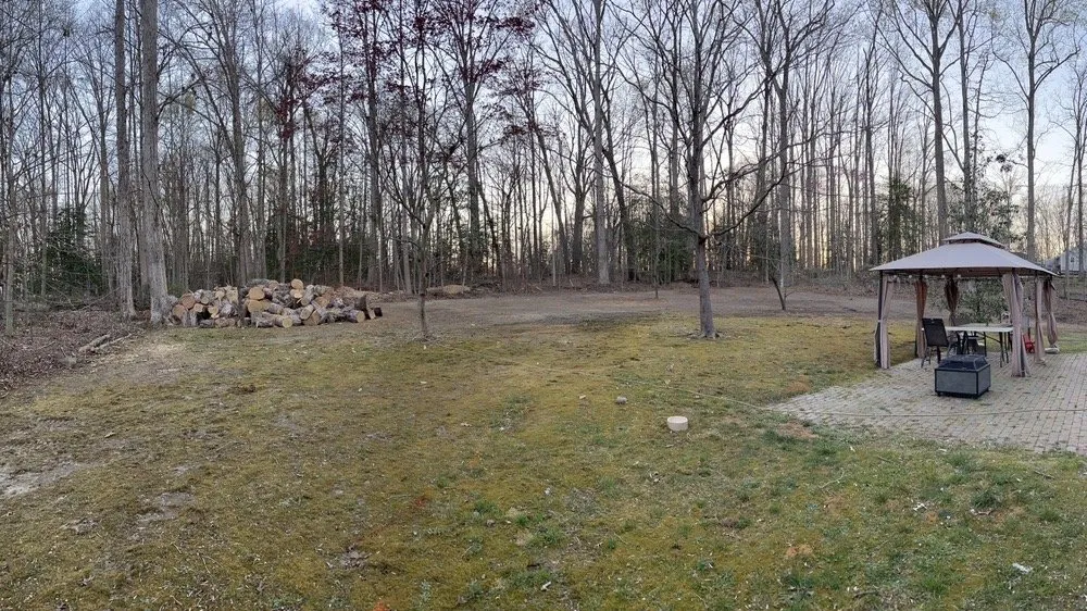 Top-rated lawn care service near you in Richmond, VA by Redeemed Tree Service