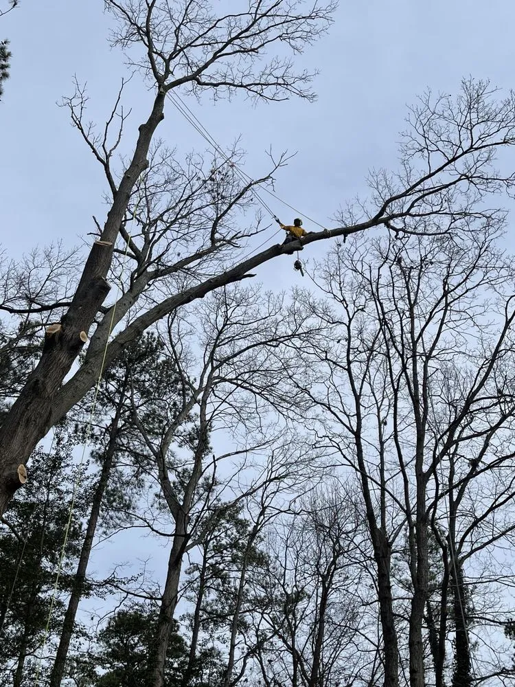 Expert garden landscaping near you across Richmond, VA - Redeemed Tree Service