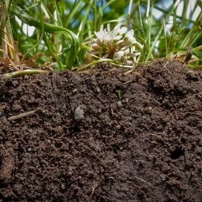 Redeeming Landscapes Logo