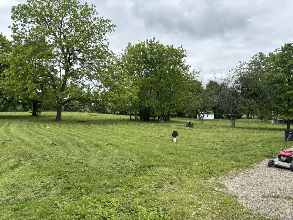 Expert yard cleanup service in Columbus, OH - Redemption Lawncare