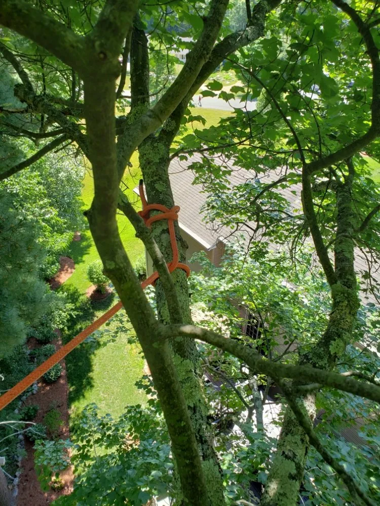 Custom landscaping services in Oakham, MA by Redemption Tree & Landscape