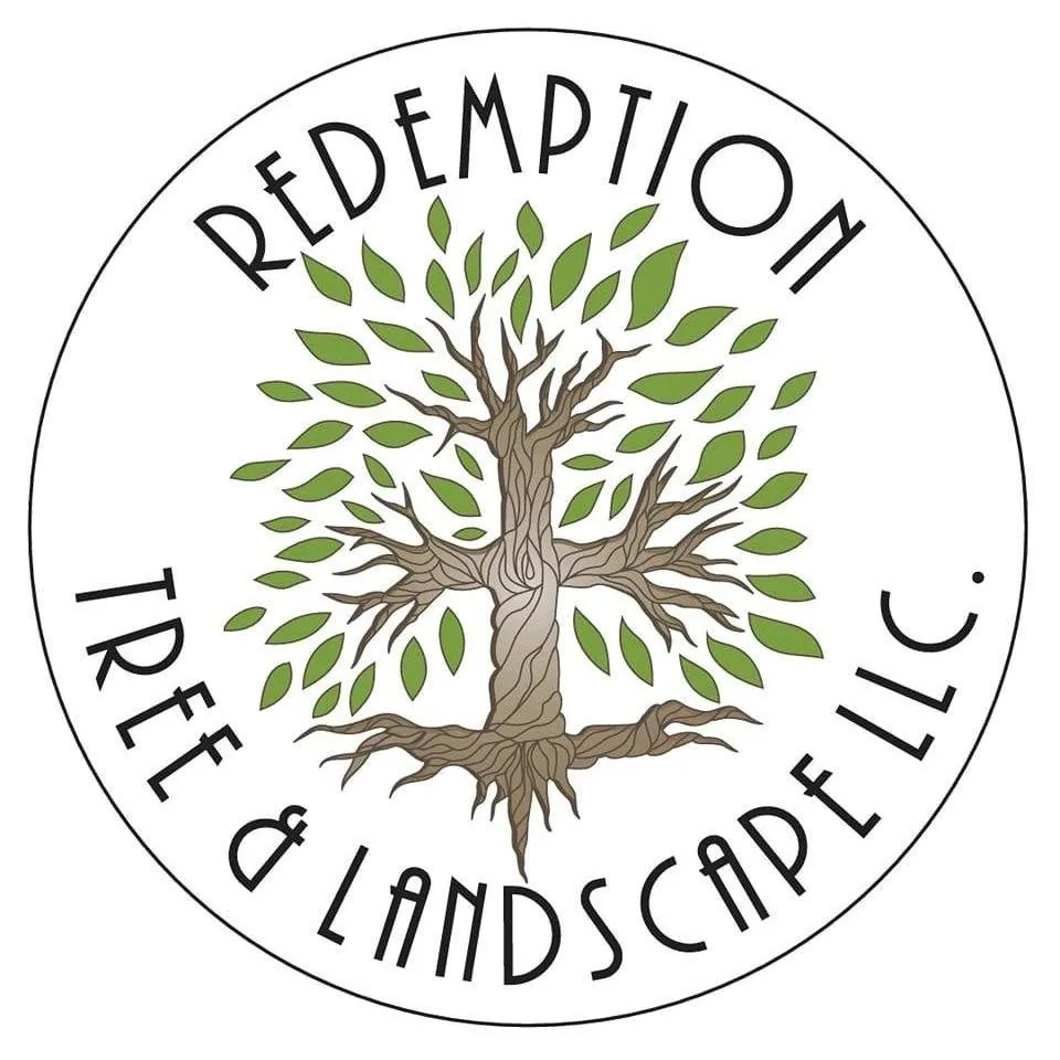Reliable yard cleanup service near you across Oakham, MA - Redemption Tree & Landscape