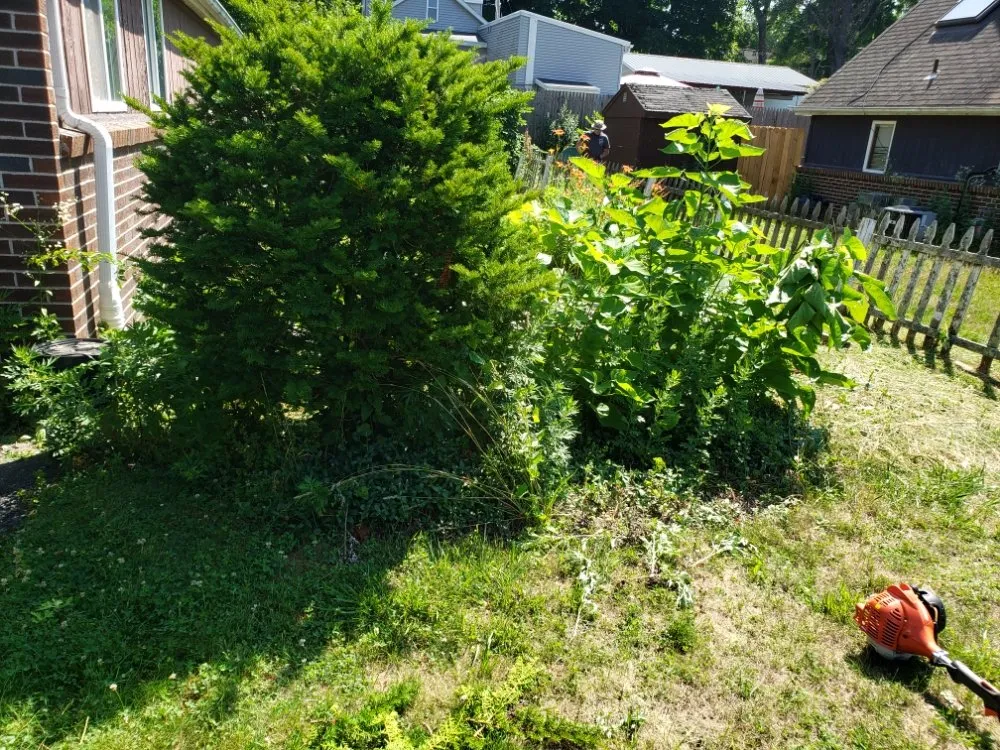 Top-rated landscape design for homes in Oakham, MA by Redemption Tree & Landscape