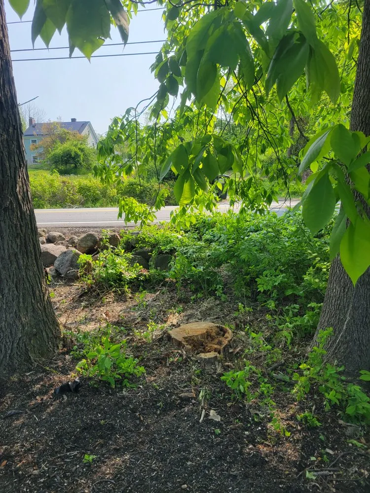 Trusted landscaping services for residential properties across Oakham, MA - Redemption Tree & Landscape